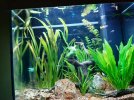 20201206_212051.jpg