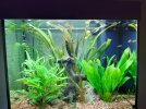 20201124_140205.jpg