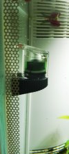 IMG_20201213_202351.jpg