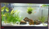 Aquarium Tobi.JPG