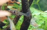 20201219_203304.jpg