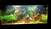 20201219_203518.jpg