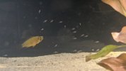 PXL_20201220_092842795.jpg