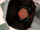 IMG_20201222_184143.jpg