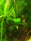 IMG_20201223_092558.jpg