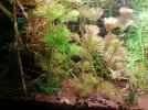 IMG_20201226_211121.jpg