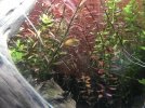 IMG_4826.jpeg