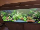 02e7c5fc-2f57-46d1-9b5a-30fde9252c45.jpg