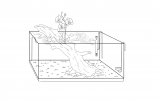 Aquarium_2_Neu-1.png