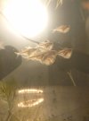 _20210109_194623.JPG _20210109_194623.JPG