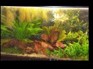 112l_untenlinks_180121.jpg