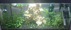 Aquarium.JPG