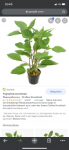 B3232E07-3E51-4D87-8C0C-AAA39D73468D.png
