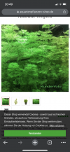 CB207028-FD55-4529-93D4-1C97855387A5.png