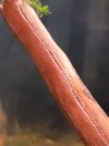 20210205_083738.jpg