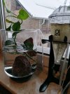 IMG_20210208_083531.jpg