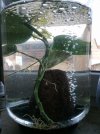 IMG_20210213_095317.jpg