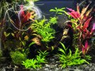 Fluval 032021.jpeg Fluval 032021.jpeg