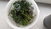 PXL_20210318_122209927.jpg