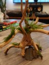Baum.JPG