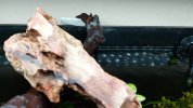 20210424_192847.jpg