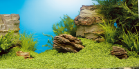 fg_juwel_aquarium_Poster1_3(1)-xs@2x.png