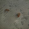 IMG-20210531-WA0075.jpg