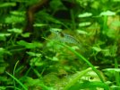 DSC02936.JPG