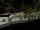 DSC01886.JPG