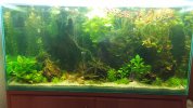 20210619_173709.jpg