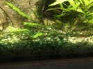 084124B6-7BBC-43CF-829B-C1E730BD5F21.jpeg