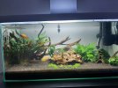 aquarium.jpg