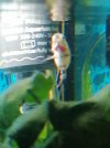 IMG_20210816_080540.jpg