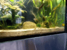 20210826_181441_1.gif