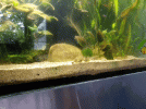 20210826_181445_1.gif