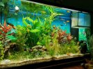 Aquatium.jpg
