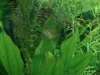 DSC00502.JPG