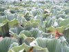 Bild 019.jpg