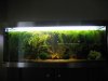 325 Liter Becken (Small).JPG