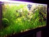 nachher_2x865.jpg