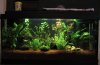 aquarium_05_11_2006.jpg