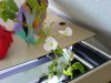 DSC01042test80.JPG