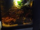 IMG_20211230_173138759.jpg
