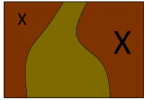 AQ_Hardscape.png