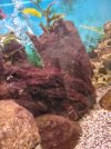 20220108_121844.jpg