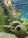 IMG_20220226_172016.jpg