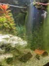 IMG_20220226_172031.jpg