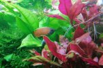 IMG_20220330_144450.jpg