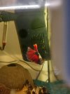 20220412_221007.jpg