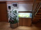 Aquarium.jpg